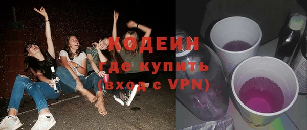 гидра Няндома