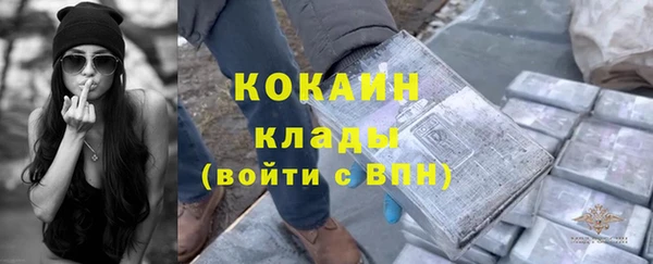 гидра Няндома