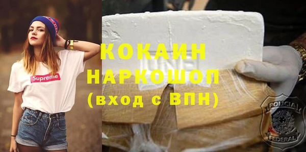 гидра Няндома