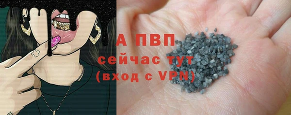 гидра Няндома