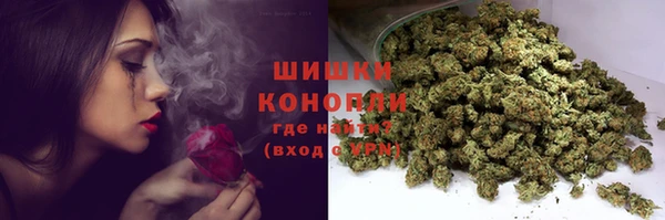 гидра Няндома