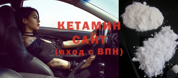 гидра Няндома