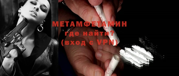 гидра Няндома