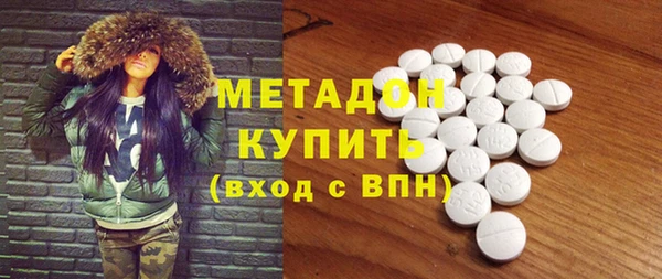 гидра Няндома