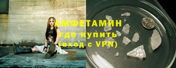 гидра Няндома