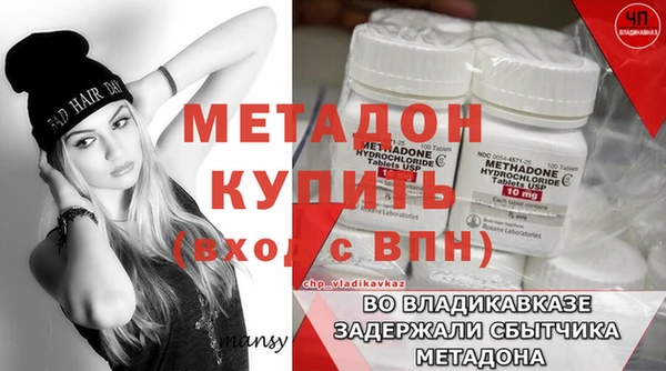 гидра Няндома
