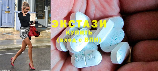 гидра Няндома