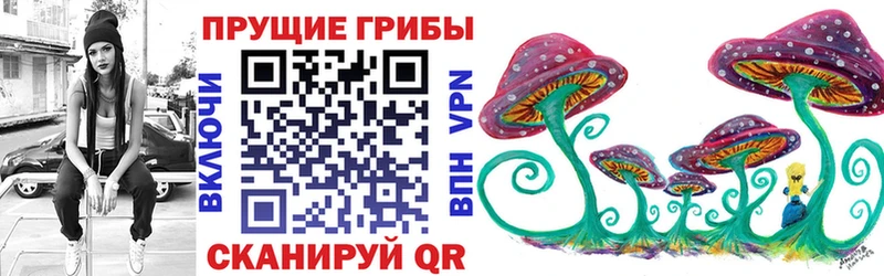 Купить закладки  Истра  Псилоцибиновые грибы GOLDEN TEACHER 